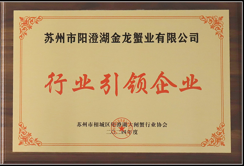 行業(yè)引領企業(yè)